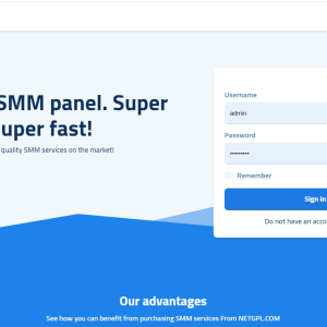 Future SMM Perfect Panel script with Paytm module